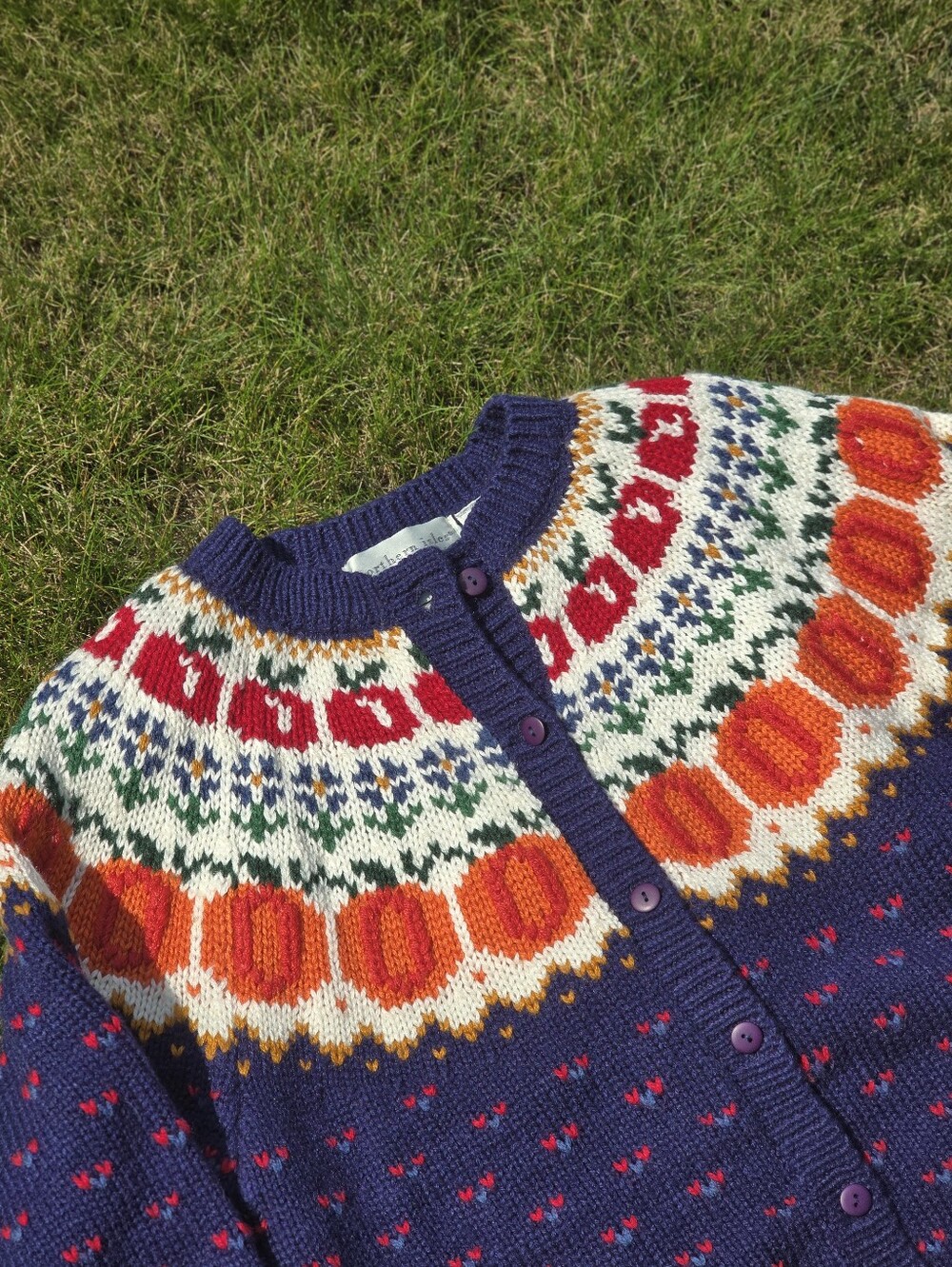 *VTG/NWOT* NORTHERN ISLES Pumpkin Floral Apple Sweater, Harvest Cardigan - Picture 7 of 11